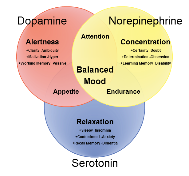 Physiological Bases of behavior - Carpe Diem